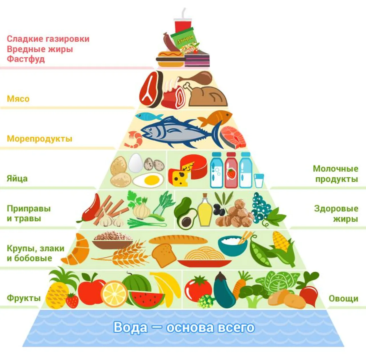 Где можно продуктов. Пищевая пирамида Уолтера виллетта. Пирамида питания для детей правильное питание. Гарвардская пирамида здорового питания. Пирамида оптимального питания.