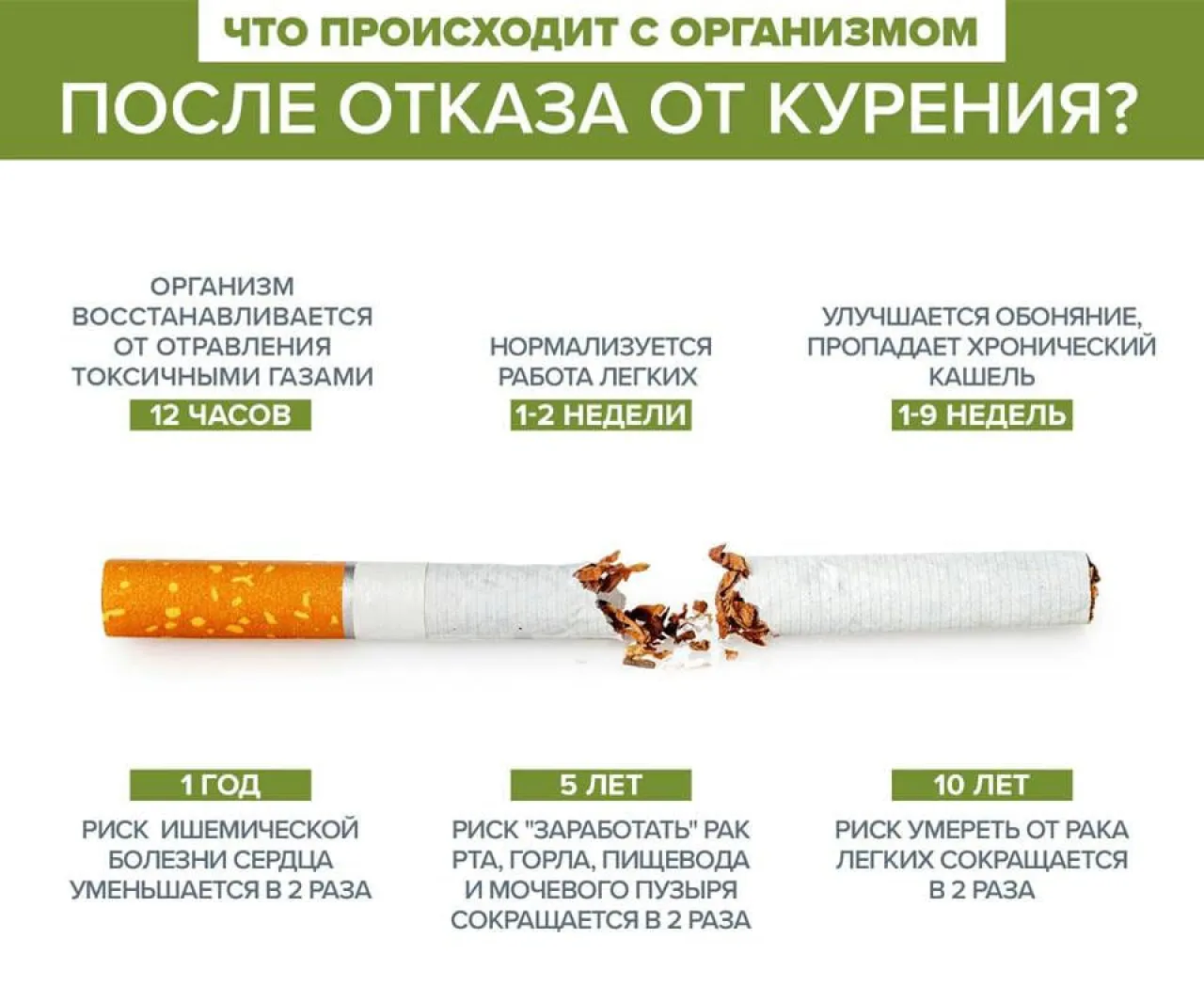 Этапы очищения организма после отказа от сигарет